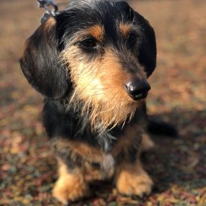 Meet your Posher, Margret